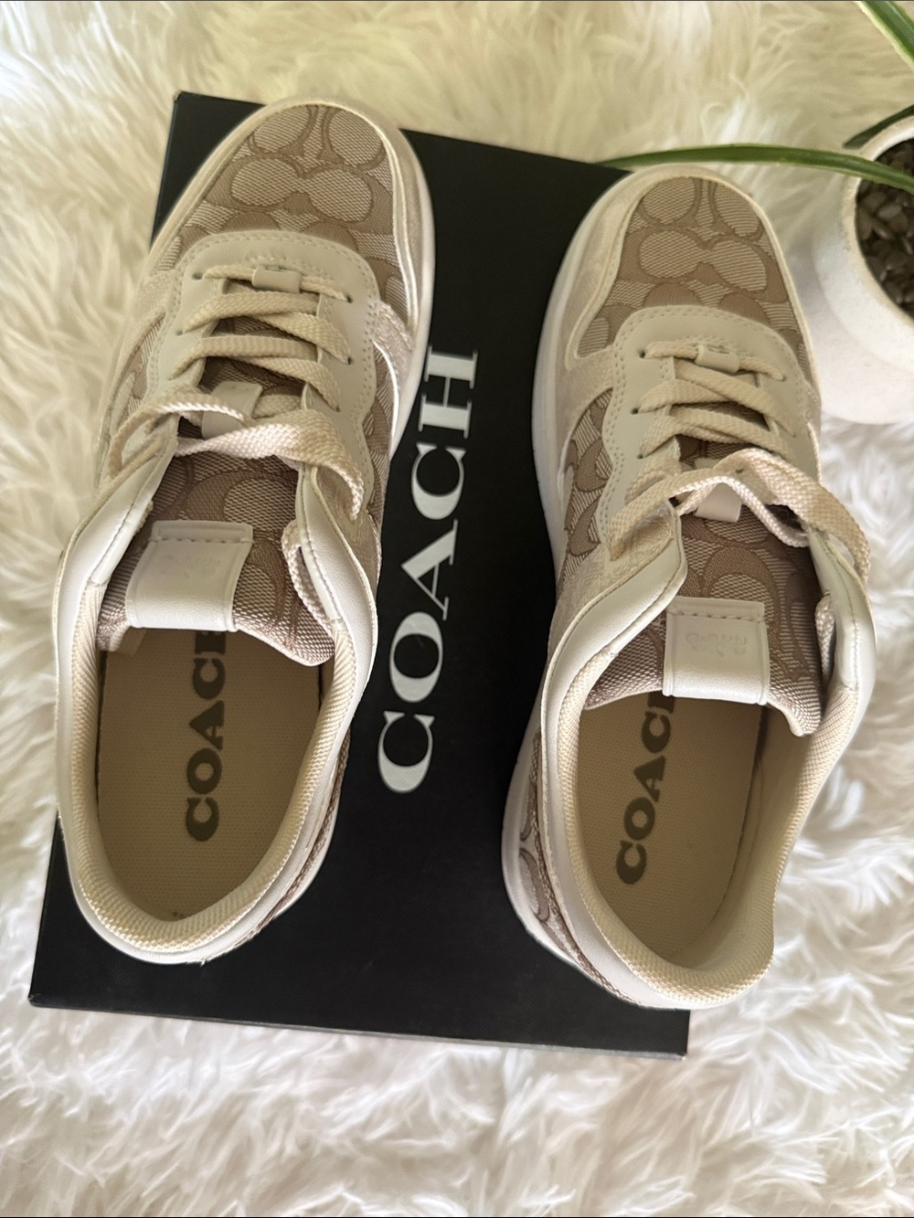 Coach Kids Logo-Print Sneakers in Beige and Cream - Picture 5 of 8
